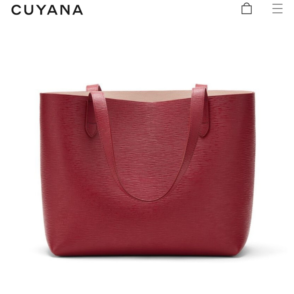 Cuyana Small Structured Tote in Red/Blush (New)